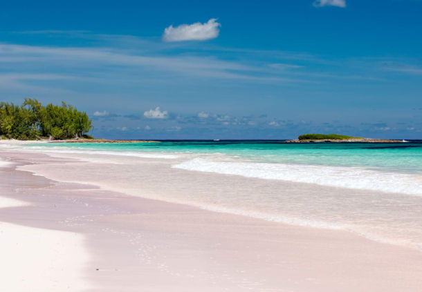 Pink Sand Beaches